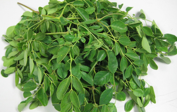 Moringa Whole Leaves