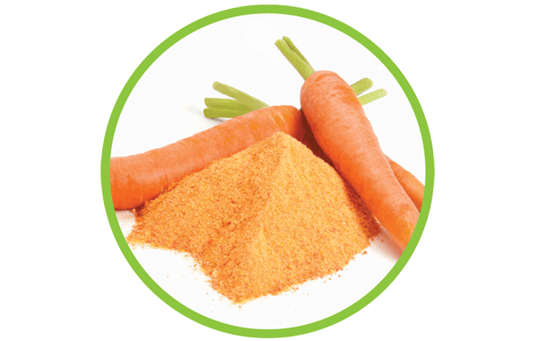 Carrot powder